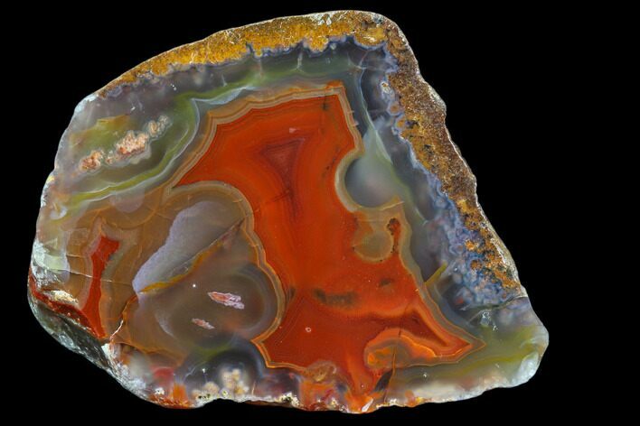 Beautiful Condor Agate From Argentina - Cut/Polished Face #79462